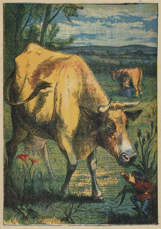 Tom Thumb and the Cow (färg litho) av English School