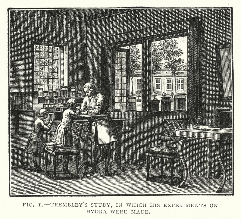 Trembleys studie, där hans experiment på Hydra gjordes (gravyr) av English School