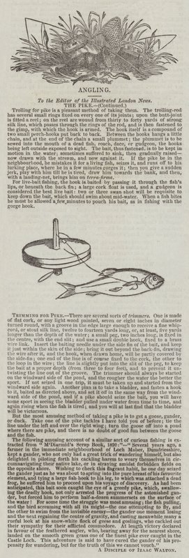 Trimning för gädda (gravyr) av English School
