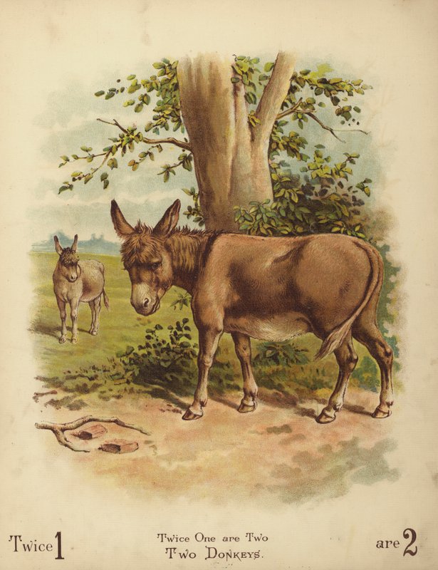 Två åsnor (chromolitho) av English School