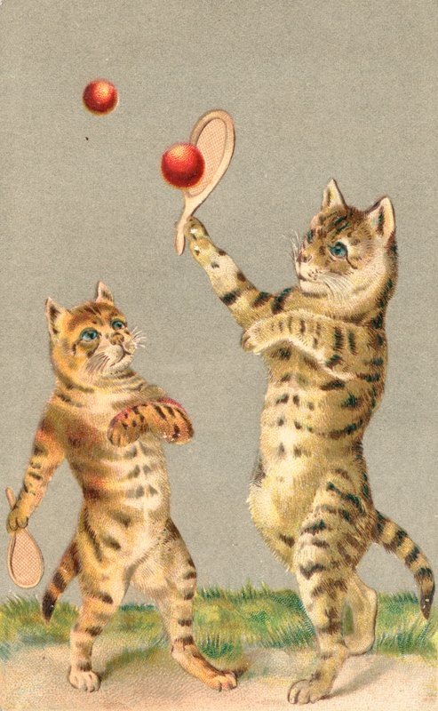 Två katter som leker med racketar och boll av English School