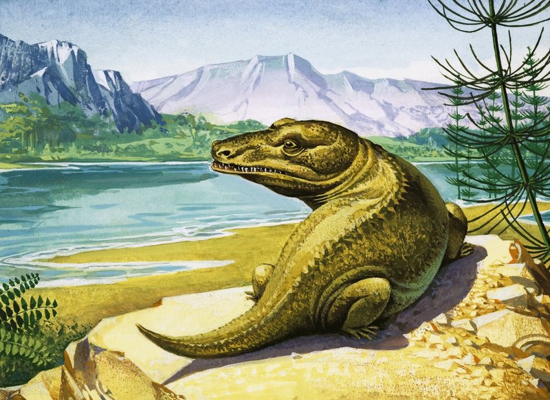 Oidentifierad krokodilliknande dinosaurie av English School