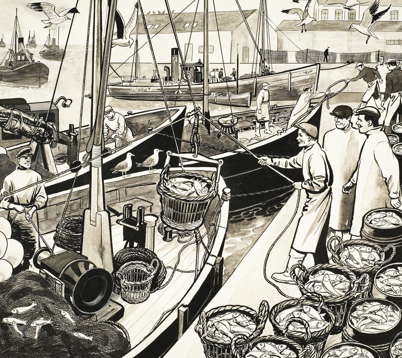 Oidentifierad fiskehamn med fisk vid kajen av English School