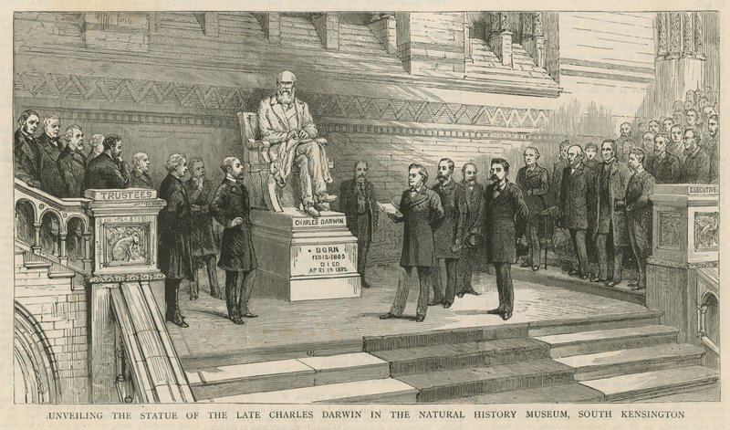 Avtäckning av statyn av framlidne Charles Darwin i Natural History Museum, South Kensington av English School