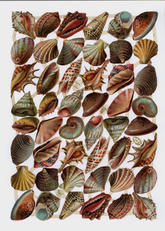 Viktorianska rester (chromolitho) av English School