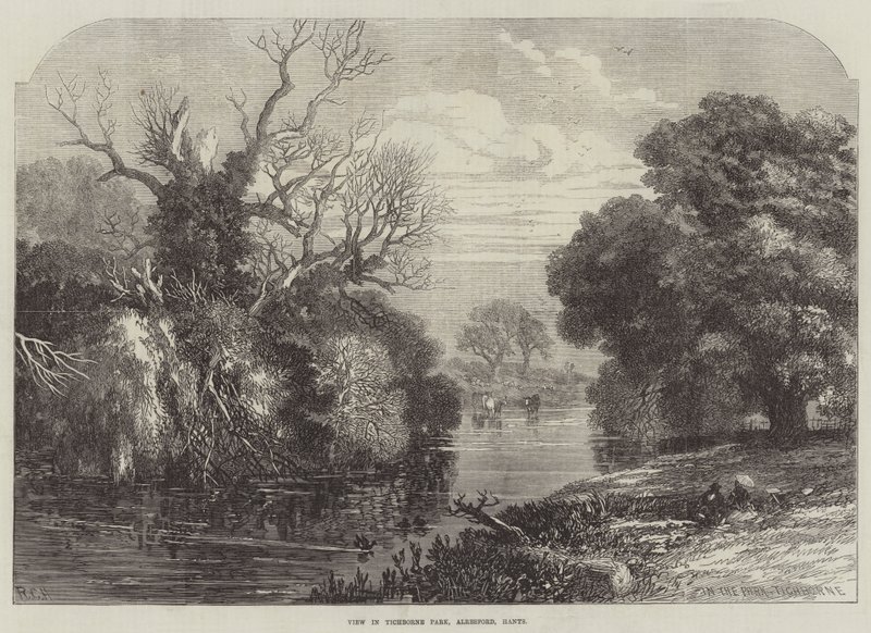 Utsikt i Tichborne Park, Alresford, Hants (gravyr) av English School