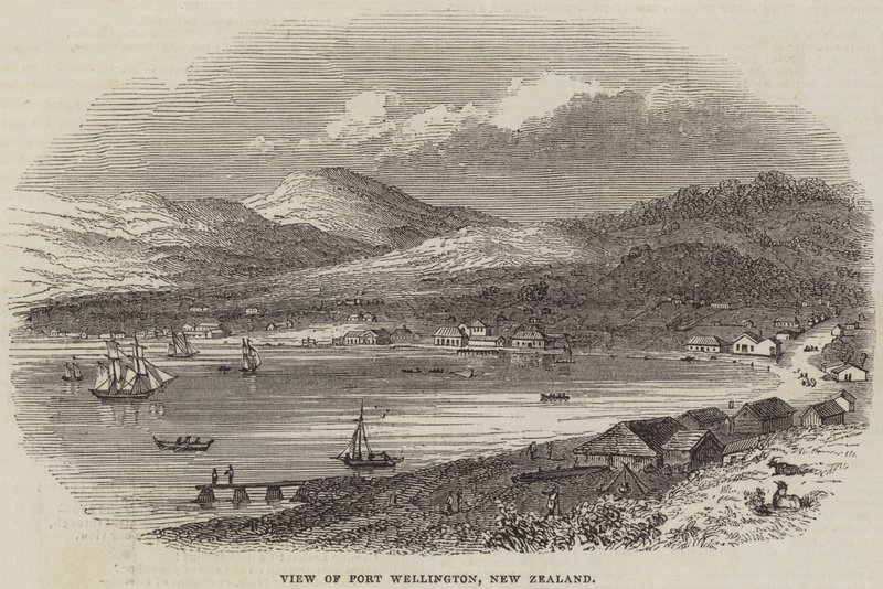 Vy över Port Wellington, Nya Zeeland (gravyr) av English School