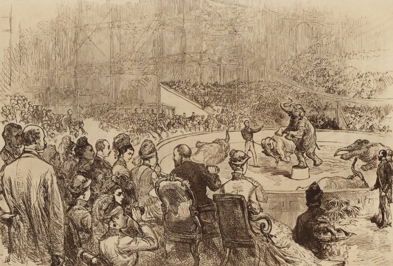 Besök av prinsen och prinsessan av Wales och kungen och drottningen av Grekland, 1876 av English School