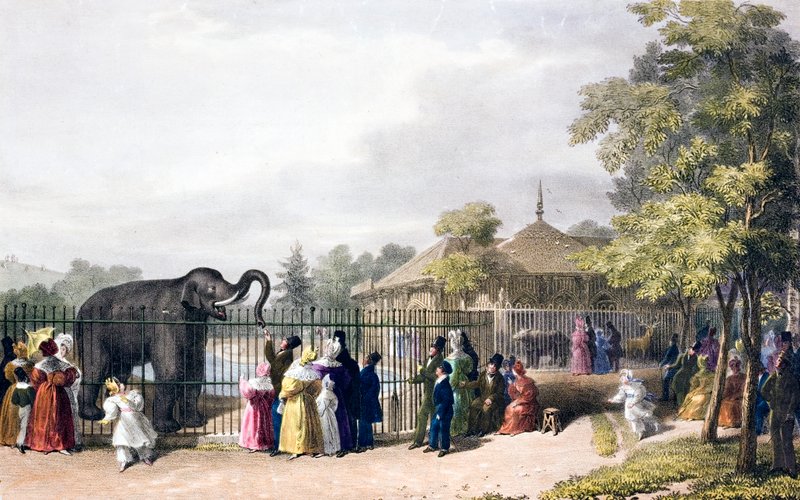 Besökare på London Zoo, Regent