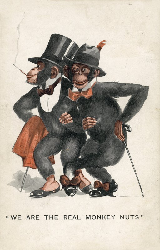 Vi är de riktiga Monkey Nuts (färg litho) av English School