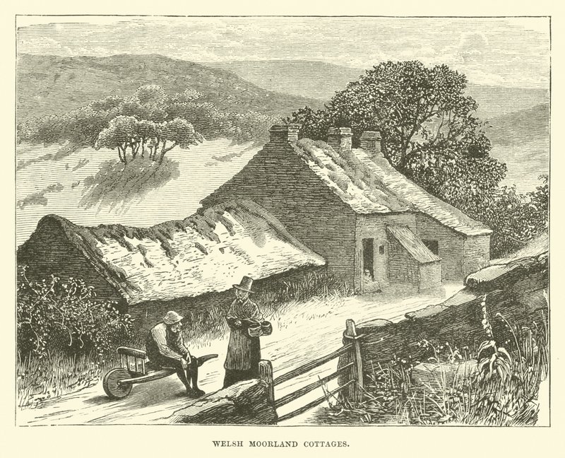 Welsh Moorland stugor av English School