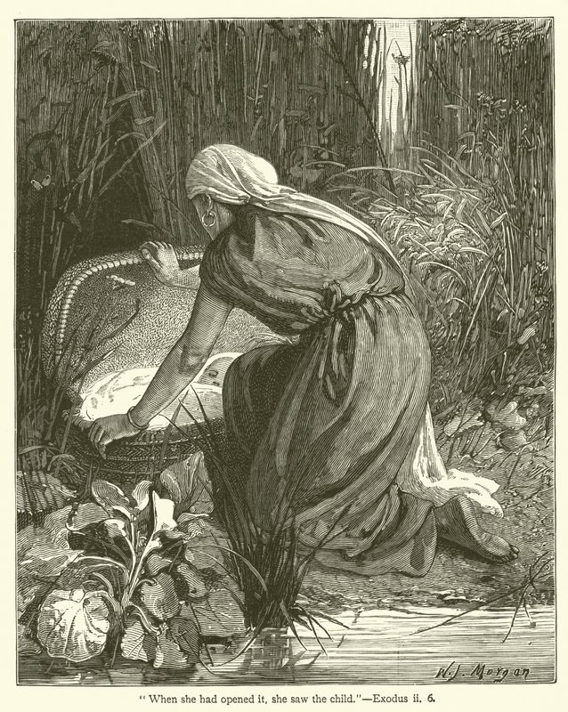 "När hon hade öppnat den såg hon barnet", 2 Mosebok, ii, 6 (gravyr) av English School