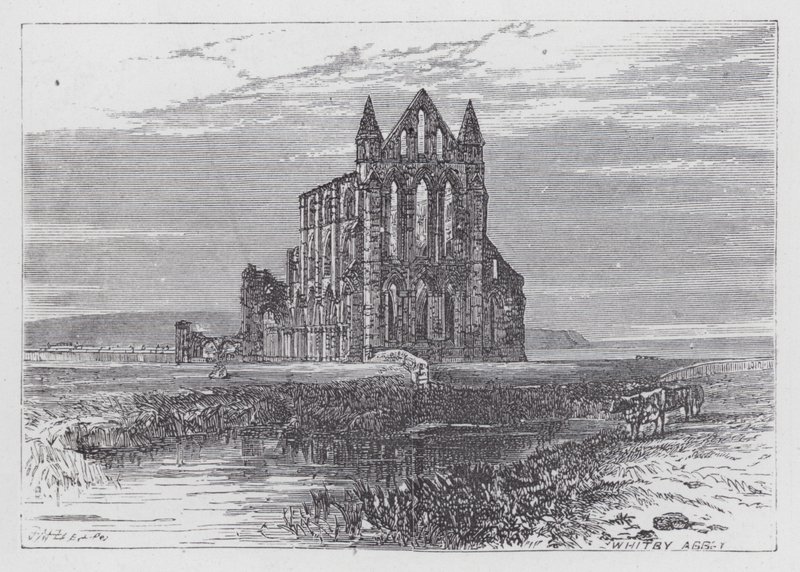 Whitby Abbey (gravyr) av English School