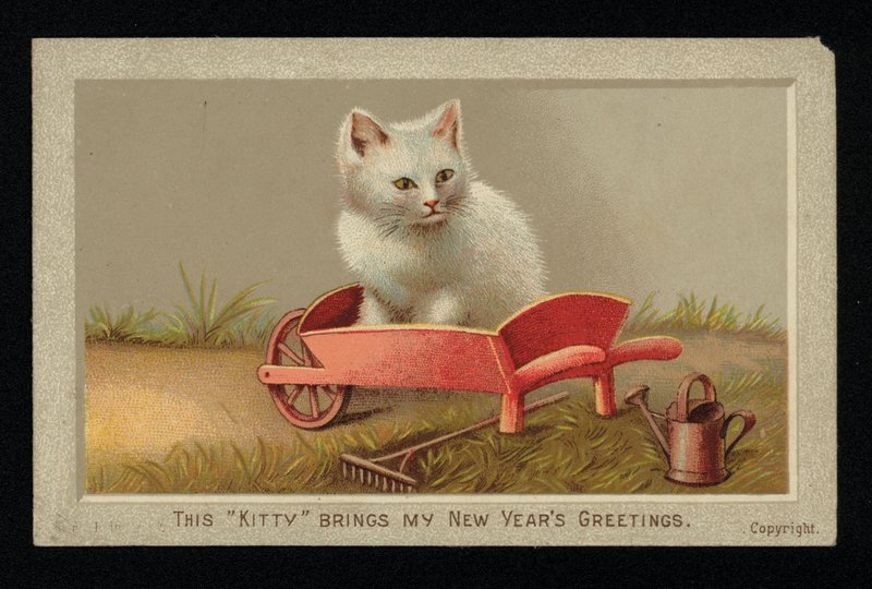Vit katt i en skottkärra, hälsningskort för nyår. (chromolitho) av English School