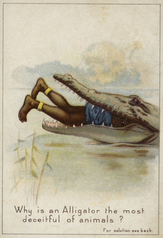 Varför är en alligator det mest bedrägliga djuret? av English School