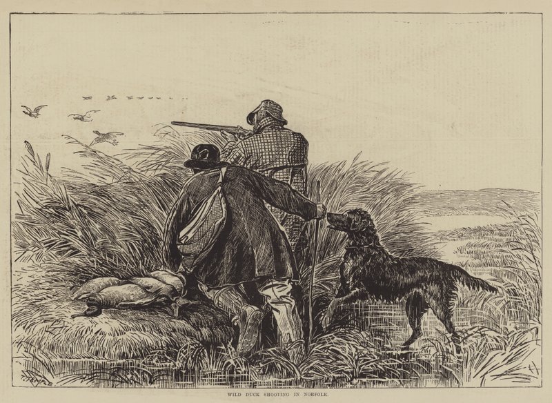 Vildandsskytte i Norfolk (gravyr) av English School