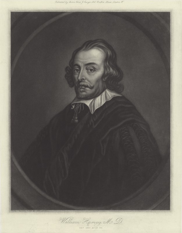 William Harvey, engelsk läkare av English School