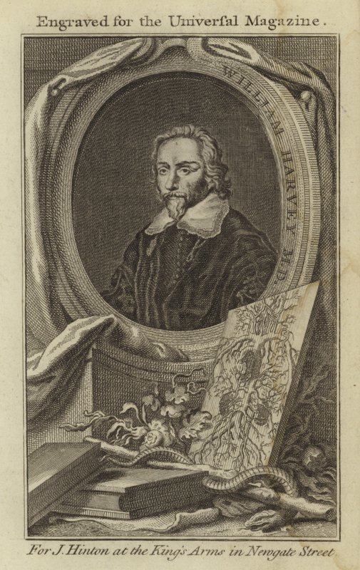 William Harvey M D av English School