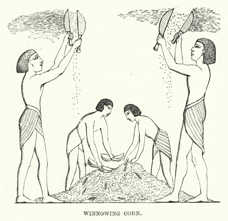 Winnowing Corn (gravyr) av English School