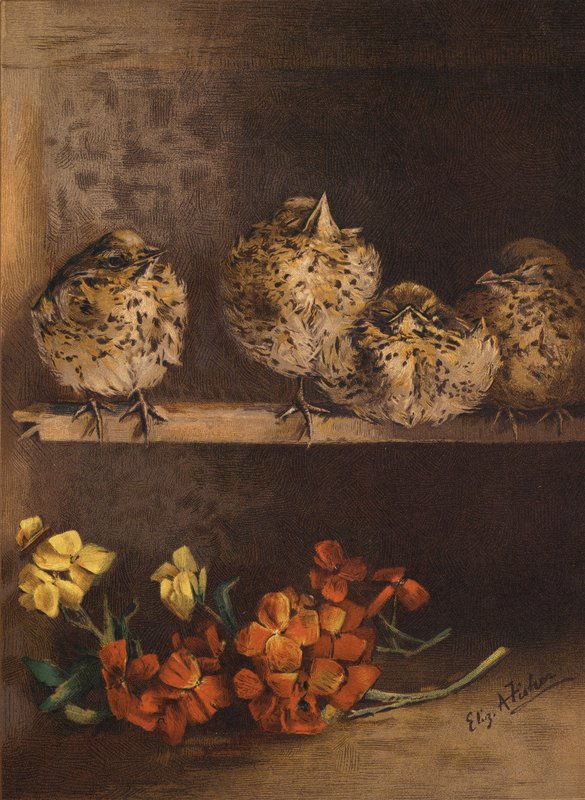 Unga kycklingar och blommor (chromolitho) av English School