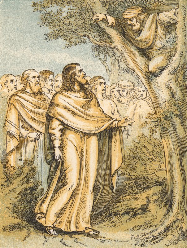 Zacchaeus (färgad gravyr) av English School
