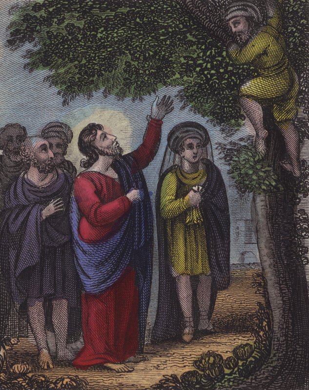 Zackeus klättrade i trädet ... (färgad gravyr) av English School