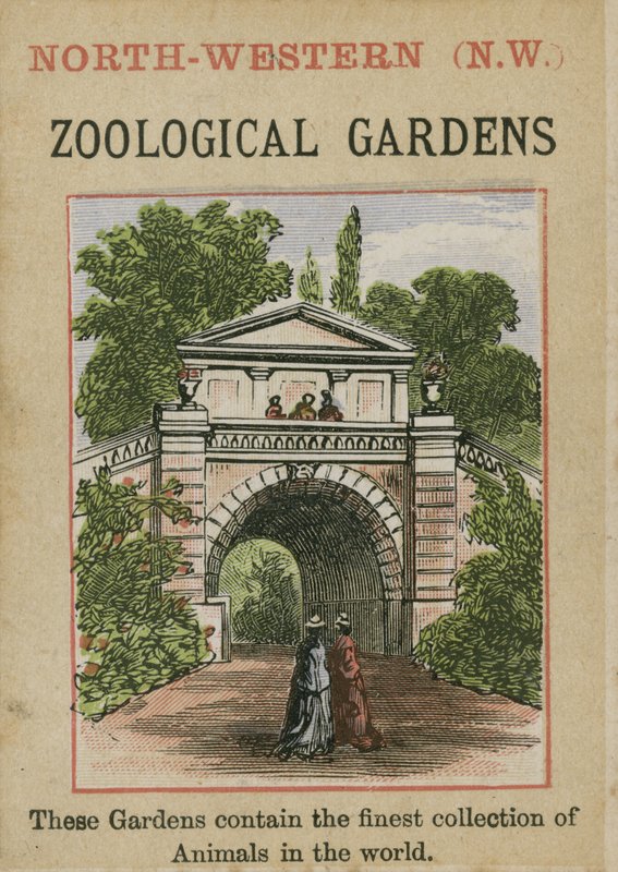 Zoologiska trädgårdar av English School