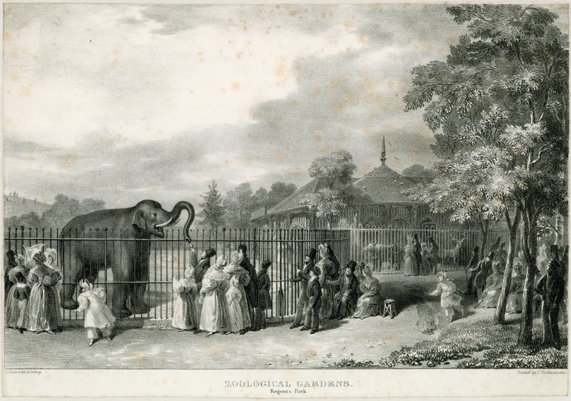 Zoologiska trädgårdar, Regents Park av English School