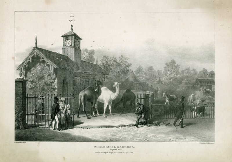 Zoologiska trädgårdar, Regents Park av English School