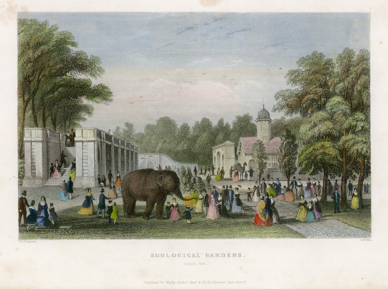 Zoologiska trädgårdar, Regents Park av English School