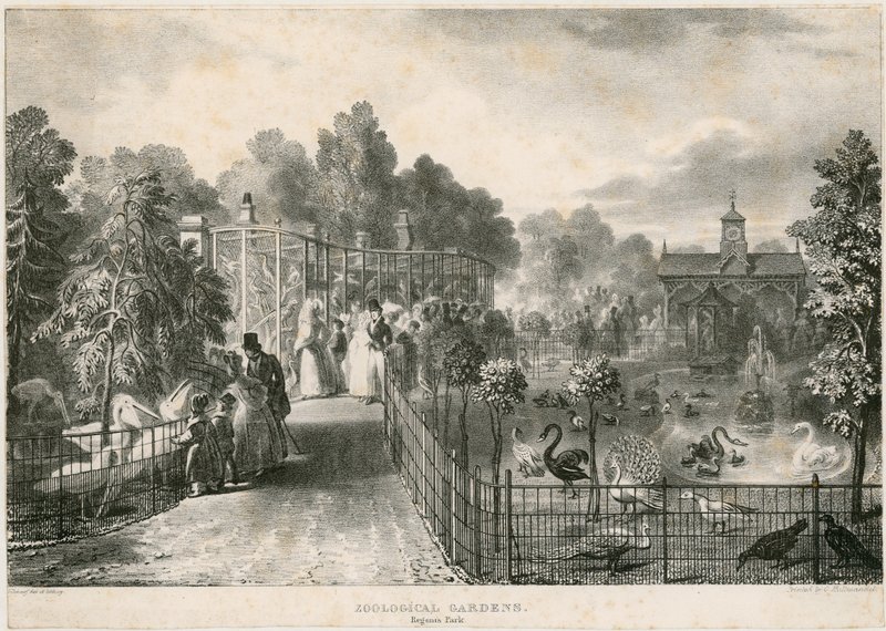 Zoologiska trädgårdar, Regents Park av English School