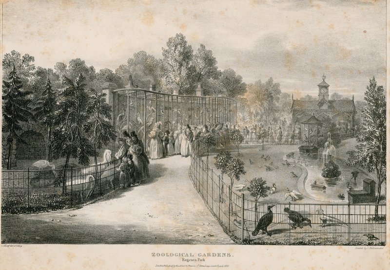 Zoologiska trädgårdar, Regents Park av English School