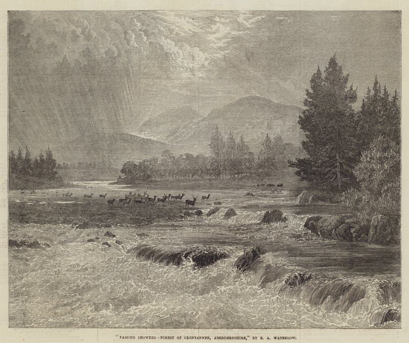 Passing Showers, Forest of Glentanner, Aberdeenshire av Ernest Albert Waterlow