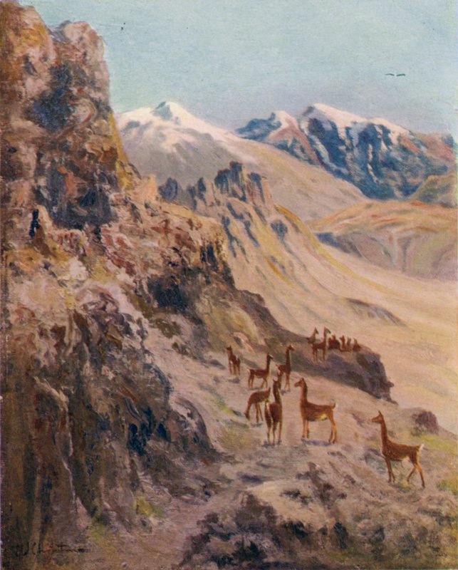 En Guanaco-jakt av Ernest William Christmas
