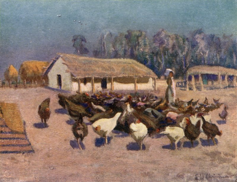 En sommardag på en kycklingfarm av Ernest William Christmas