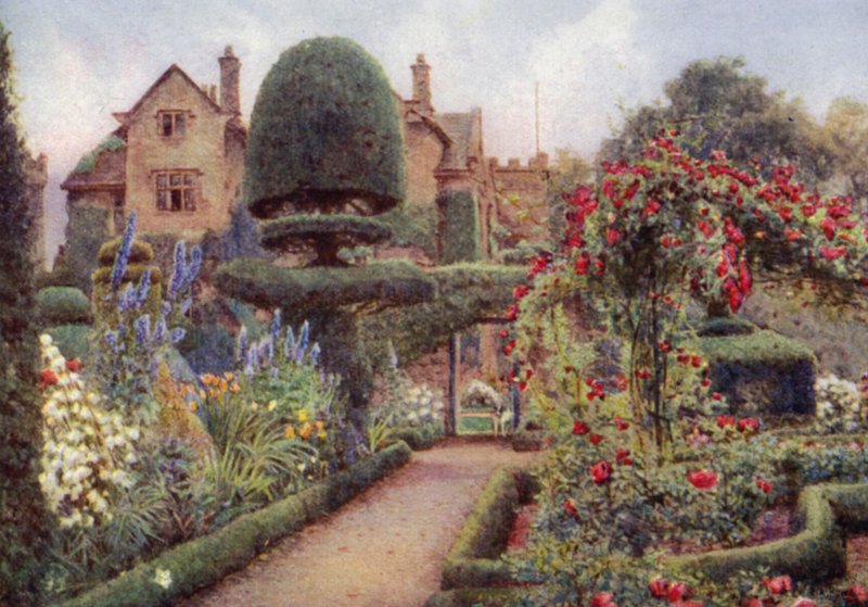Delphiniums in the Herbaceous Border vid Levens Hall (färg litho) av Ernest Arthur Rowe