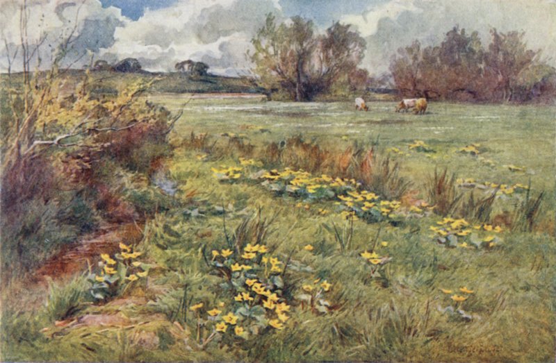 Väglösa fält av Ernest Benger or Berenger