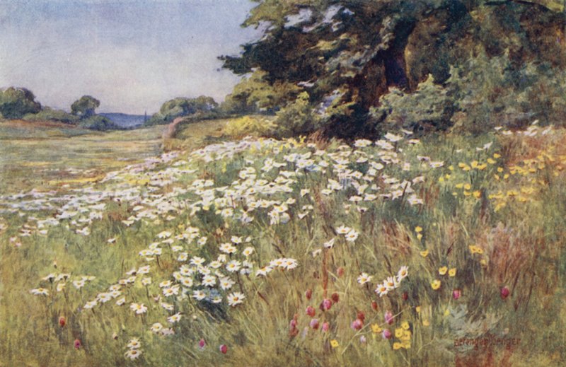 Solsken i Meadowland av Ernest Benger or Berenger