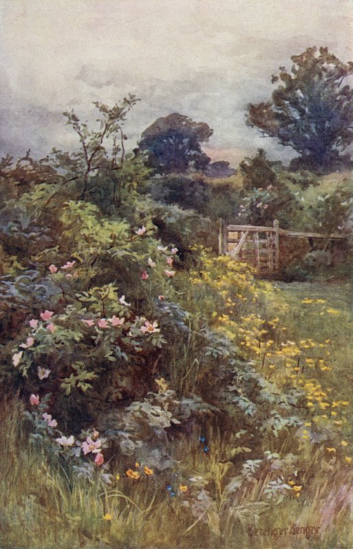 Rosens välde av Ernest Benger or Berenger