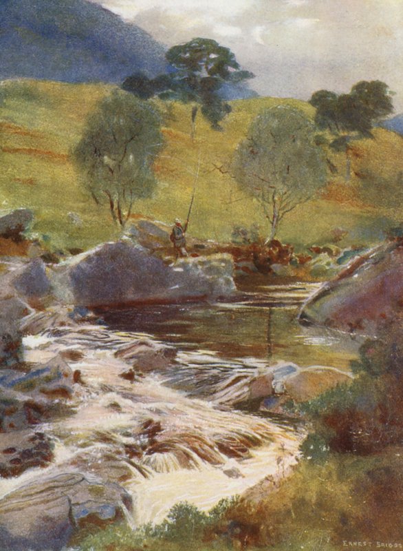 Docharts källflöden (färglitografi) av Ernest Edward Briggs