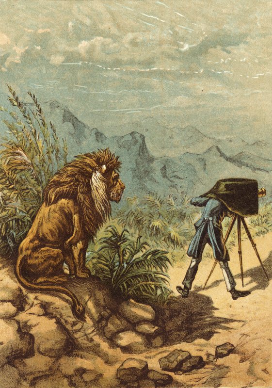 Lovande utsikter, lejon observerar fotograf (chromolitho) av Ernest Henry Griset