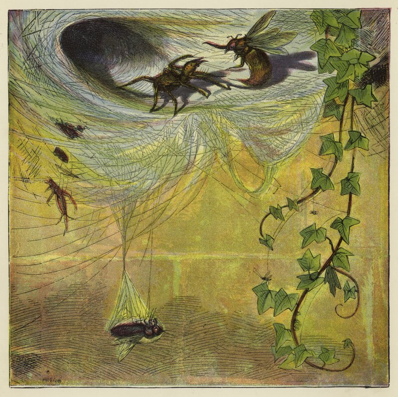 Spindel, fluga och bi av Ernest Henry Griset