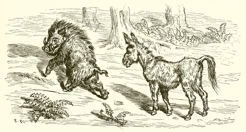 Vildsvinet och åsnan av Ernest Henry Griset