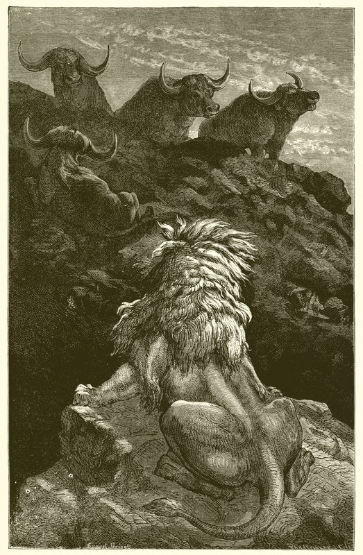 Lejonet och de fyra tjurarna av Ernest Henry Griset