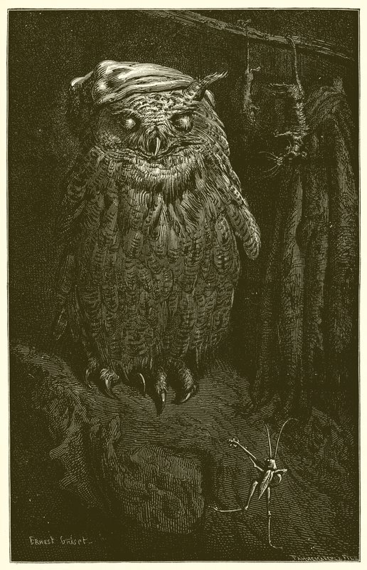 Ugglan och gräshoppan av Ernest Henry Griset