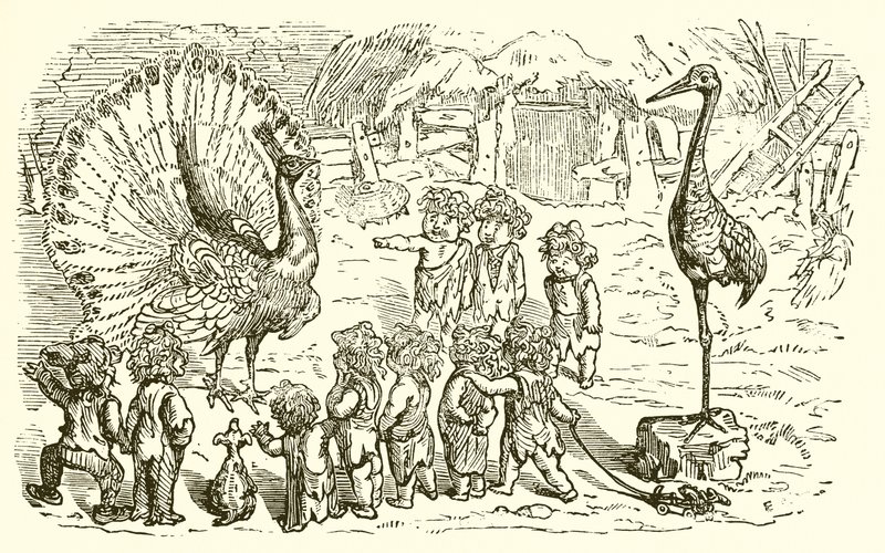 Påfågeln och tranan av Ernest Henry Griset