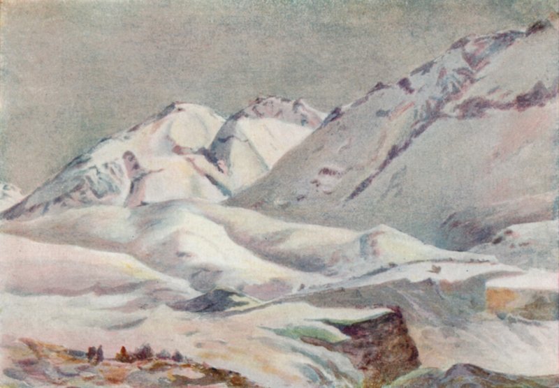 Anderna (färg litho) av Ernest William Christmas