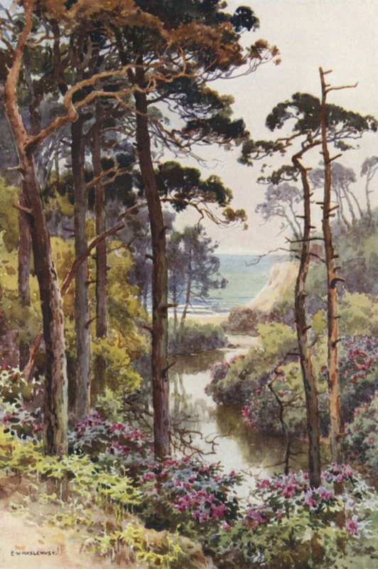 Branksome Chine, Bournemouth (färg litho) av Ernest William Haslehust
