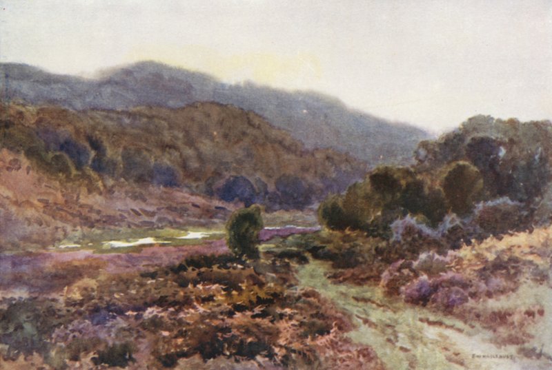 Av Broomy Water (färg litho) av Ernest William Haslehust