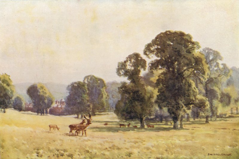 Cobham Park (färg litho) av Ernest William Haslehust